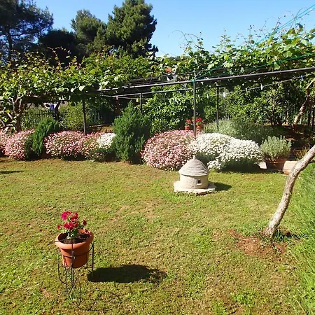 Nicole Apartmán Pula