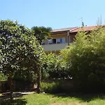 Nicole פולה