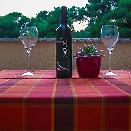 妮可公寓酒店 *