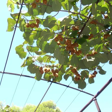 妮可公寓酒店 * 普拉